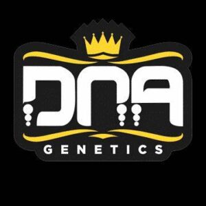 DNA Genetics Cannabissamen kaufen bei Stuttgart - Logo