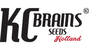 KC Brains Cannabissamen kaufen bei Stuttgart - Logo
