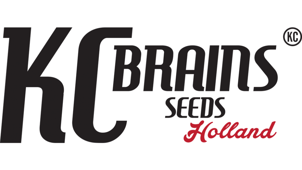 KC Brains Cannabissamen kaufen bei Stuttgart - Logo